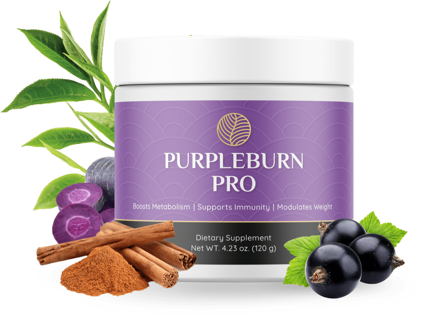 PurpleBurn Pro buy